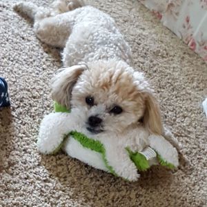 Meet your Posher, Beth